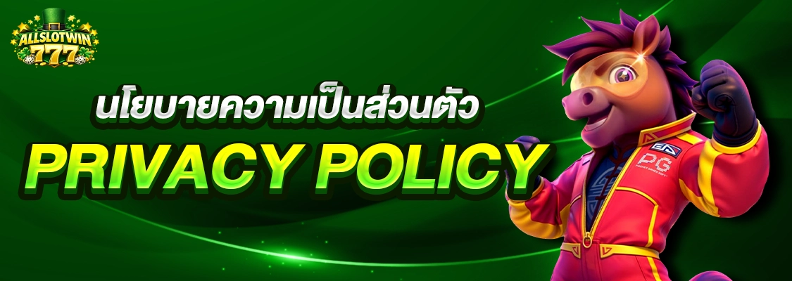 นโยบายความเป็นส่วนตัว